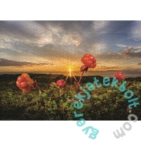 Heye 1000 db-os puzzle - Cloudberries, Humboldt (30016)