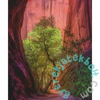 Heye 1000 db-os puzzle - Power of Nature - Singing Canyon (29944)