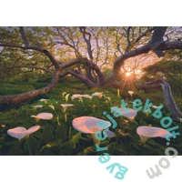 Heye 1000 db-os puzzle - Calla Clearing (29906)