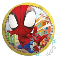 John Pókember gumilabda (130050307)