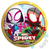 John Pókember gumilabda (130050307)