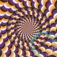 Magnolia 1023 db-os Square puzzle - Optical Illusion (3005)