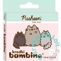 Pusheen Cat 12 színű zsírkréta