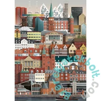 Martin Schwartz 1000 db-os puzzle - Aarhus (MS0602)