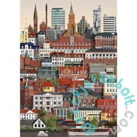 Martin Schwartz 1000 db-os puzzle - Odense (MS0609)