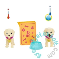 Barbie Gondos gazdi játékszett