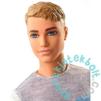 Barbie Dreamhouse Adventures - Ken baba (GHR61)