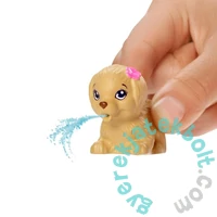 Barbie Dreamhouse Adventures - Barbie úszóbajnok szett (GHK23)