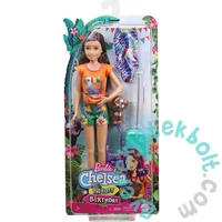Barbie és Chelsea Az elveszett szülinap - Skipper baba (GRT88-GRT86)