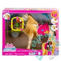 Barbie Fenséges tornádó paripája játékszett (HXJ42)