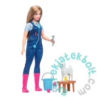 Barbie 65. évfordulós karrier játékszett - állatorvos (HRG42)