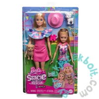 Barbie és Stacie duó játékszett (HRM09)