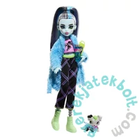 Mattel - Monster High - Creepover party - Frankie Stein baba (HKY68)