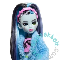 Mattel - Monster High - Creepover party - Frankie Stein baba (HKY68)