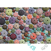 Piatnik 1000 db-os puzzle - Tengeri sünök (548840)