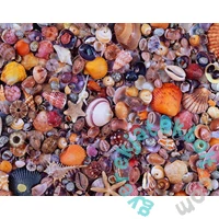 Piatnik 1000 db-os puzzle - Kagylók (566349)