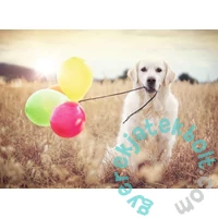 Ravensburger 500 db-os puzzle - Lufik (16585)