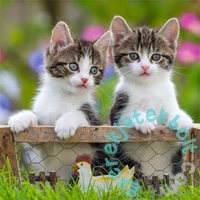 Ravensburger 3 x 49 db-os puzzle - Kiscicák (08046)