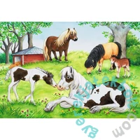 Ravensburger 2 x 24 db-os puzzle - A lovak világa (08882)