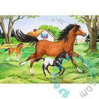 Ravensburger 2 x 24 db-os puzzle - A lovak világa (08882)