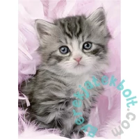 Ravensburger 500 db-os puzzle - Szürke cica (14136)