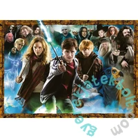Ravensburger 1000 db-os puzzle - Harry Potter szereplők (15171)