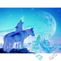 Ravensburger 1500 db-os puzzle - Az alkonyat dala (16208)