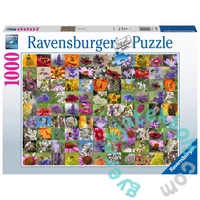 Ravensburger 1000 db-os puzzle - Bee Collage (17386)