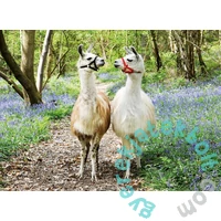 Ravensburger 100 db-os XXL puzzle - Láma barátok (12941)