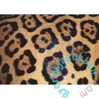 Ravensburger 1000 db-os puzzle - Challenge - Állatminta (17096)