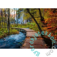 Ravensburger 1000 db-os puzzle  - Őszi faösvény (12001764)