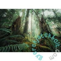 Ravensburger 1000 db-os puzzle - Power of Nature - Az erdőben (12000292)