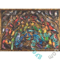 Ravensburger 1000 db-os  puzzle - Rainbow of Birds (17478)