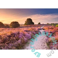 Ravensburger 1000 db-os puzzle  - Rózsaszín ösvény (12001763)