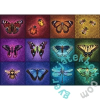 Ravensburger 1000 db-os  puzzle - Szárnyas lény (12000554)