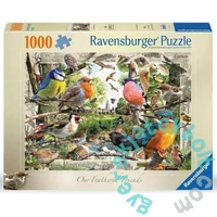 Ravensburger 1000 db-os puzzle - Tollas barátaink (12000328)