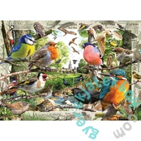 Ravensburger 1000 db-os puzzle - Tollas barátaink (12000328)