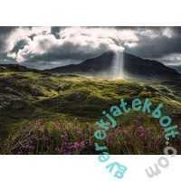 Ravensburger 1000 db-os  puzzle - Csodás rét (12000794)