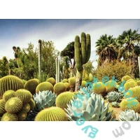 Ravensburger 1000 db-os puzzle - Beautiful Gardens - Huntington sivatagi kert (12000850)