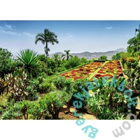 Ravensburger 1000 db-os puzzle - Beautiful Gardens - Botanical Gardens Madeira (12000853)
