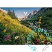 Ravensburger 1000 db-os puzzle - Varázslatos völgy (12000484)