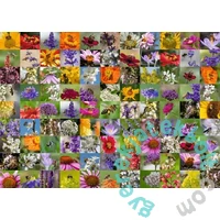 Ravensburger 1000 db-os puzzle - Méhecske kollázs (12000617)