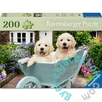 Ravensburger 200 db-os puzzle - Golden retriver (12001368)
