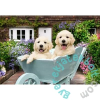 Ravensburger 200 db-os puzzle - Golden retriver (12001368)