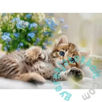 Ravensburger 500 db-os puzzle - Cicusok (12001904)