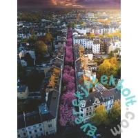 Ravensburger 1500 db-os puzzle - Virágzó Bonn (17104)