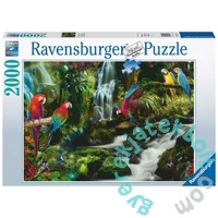 Ravensburger 2000 db-os puzzle - Színes papagájok a dzsungelben (17111)