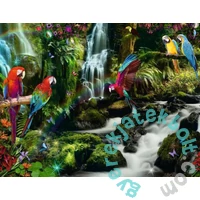 Ravensburger 2000 db-os puzzle - Színes papagájok a dzsungelben (17111)