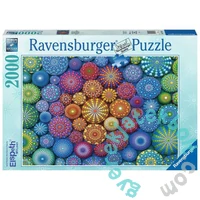 Ravensburger 2000 db-os puzzle - Színpompás tengerisünök (17134)