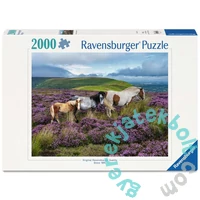 Ravensburger 2000 db-os puzzle  - Vadlovak a mezőn (12001751)